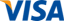 visa credit card icon